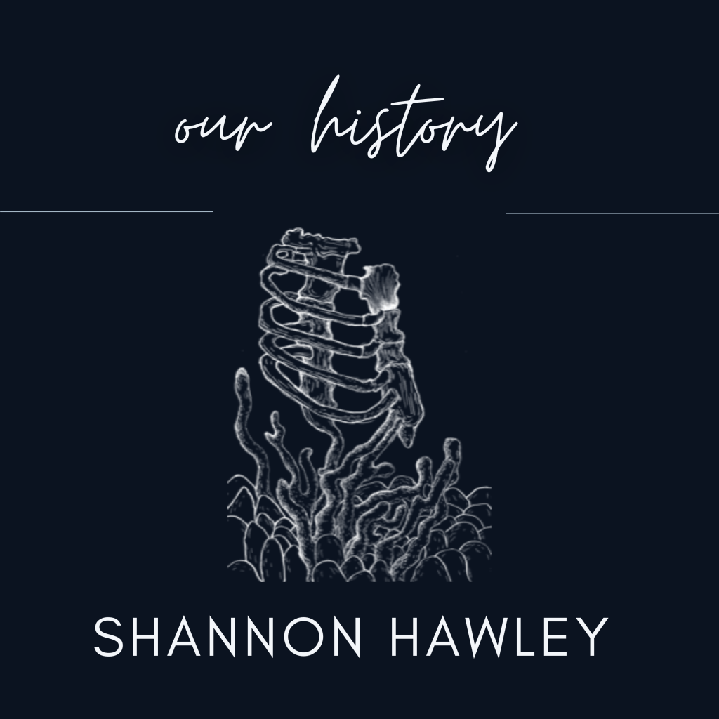 Our History – Shannon&nbsp;Hawley