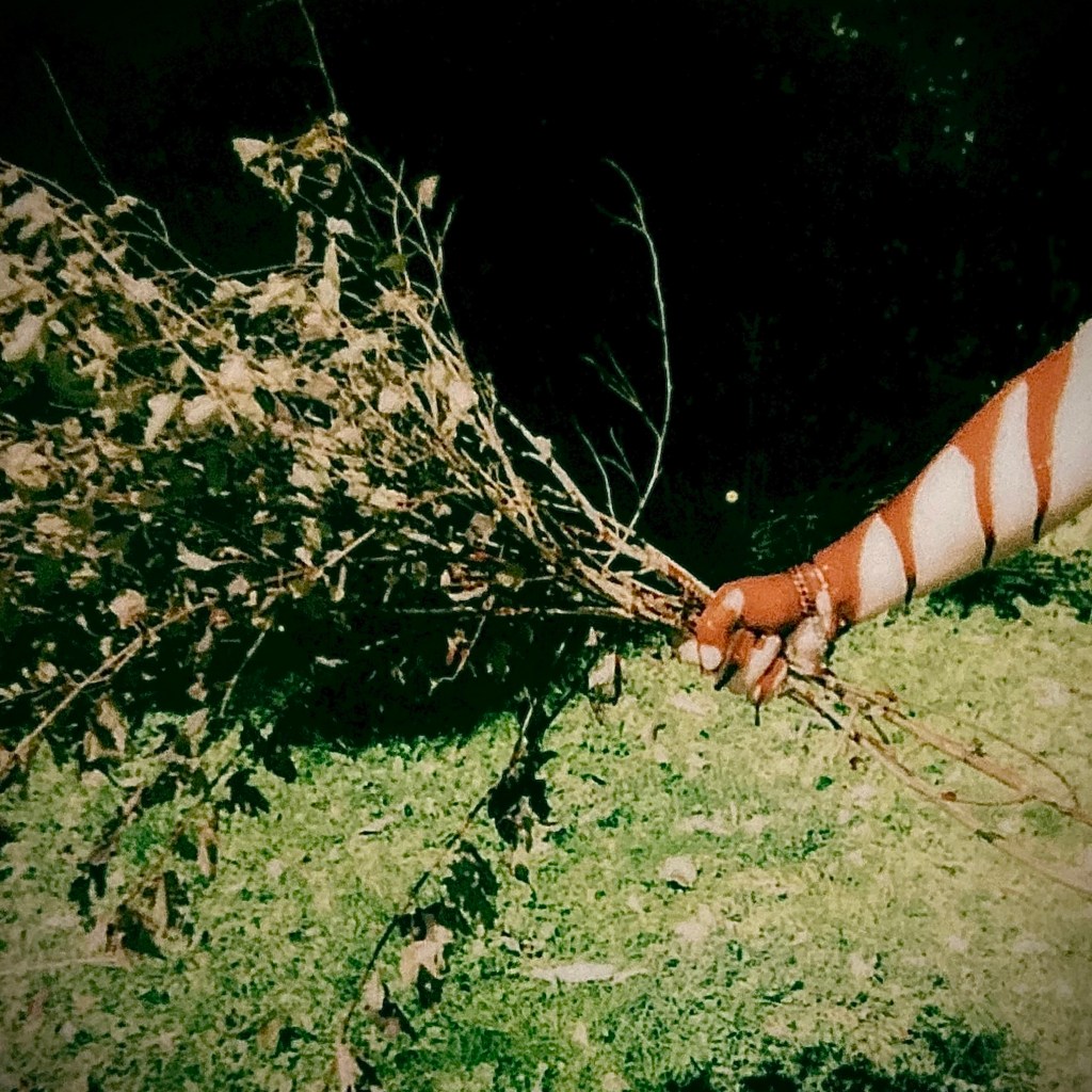 Secrets – Tim&nbsp;Barr